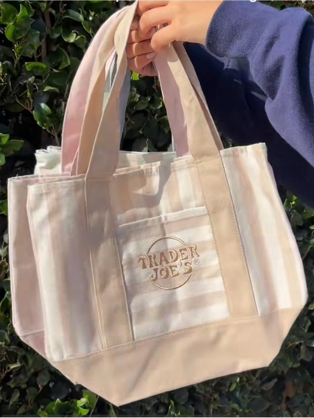 Trader Joe's Tan & Cream Striped Canvas Tote